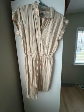 Striped Button-Front Shirtdress in Cream and Tan